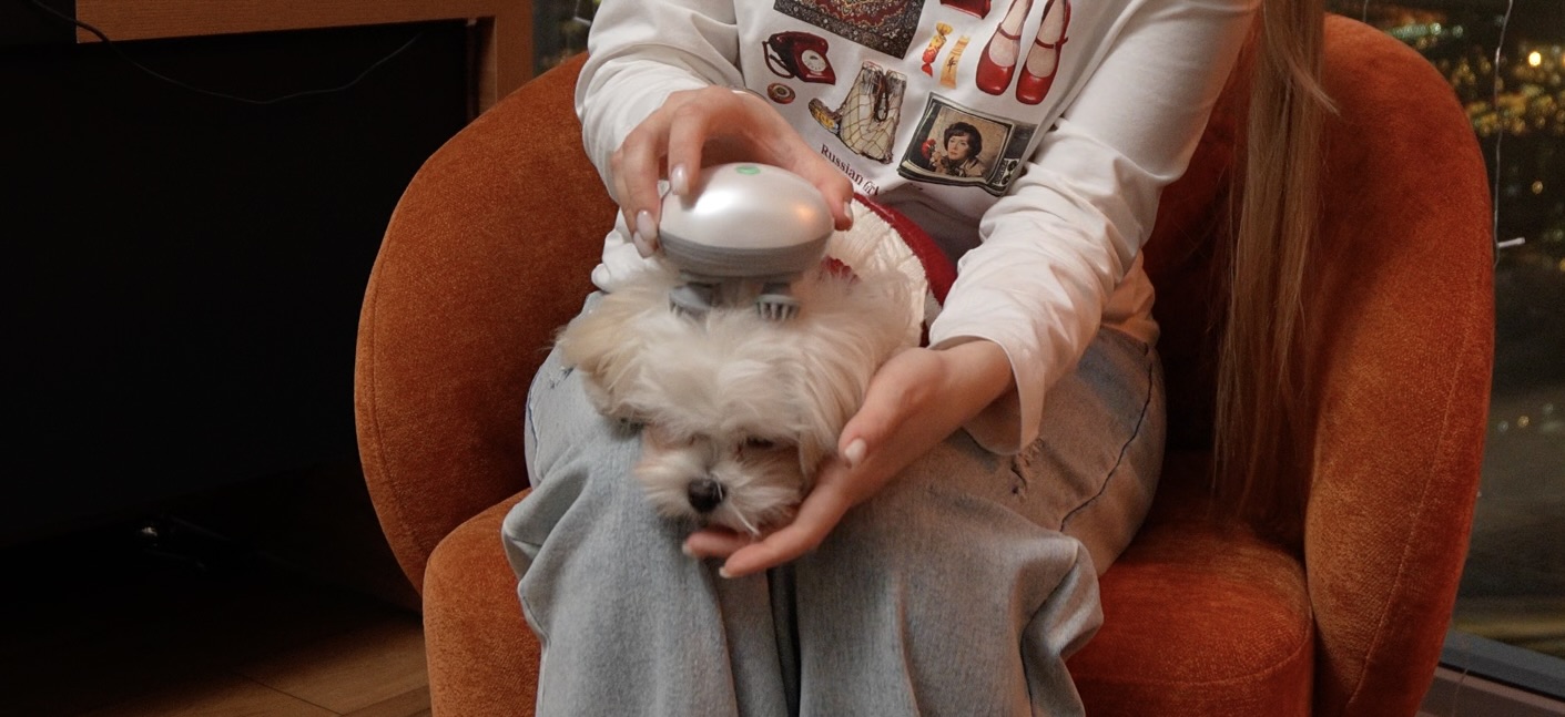 «ТехноХвост»: тестируем массажер для кошек и собак