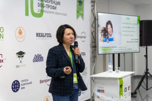 Как понять, что ветврач вам не подходит и не тратить лишние деньги и нервы