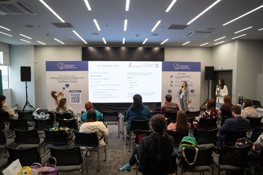 «Кошка сама знает, сколько ей есть»: ветеринары развенчали самые опасные мифы о питании