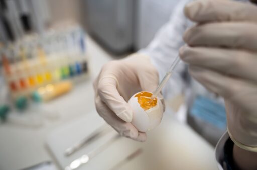 Российские ученые провели аудит индийской СПФ-фермы для производства вакцин