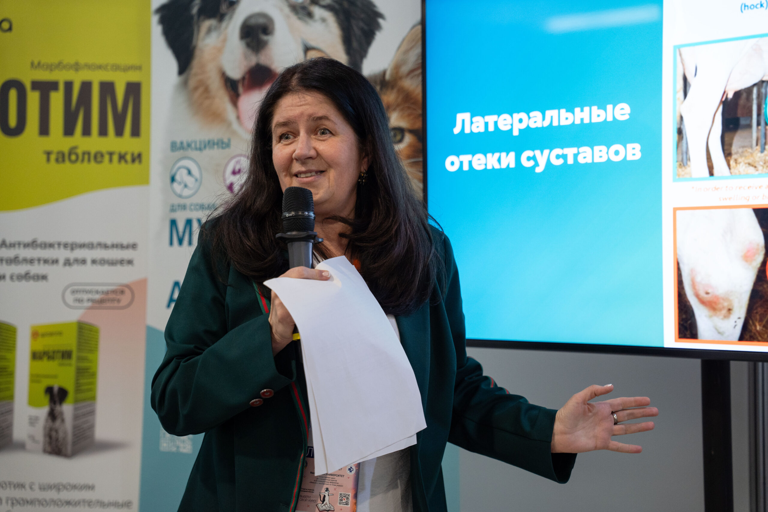 Коровам — на красный: как свет влияет на размножение и питание рогатого скота