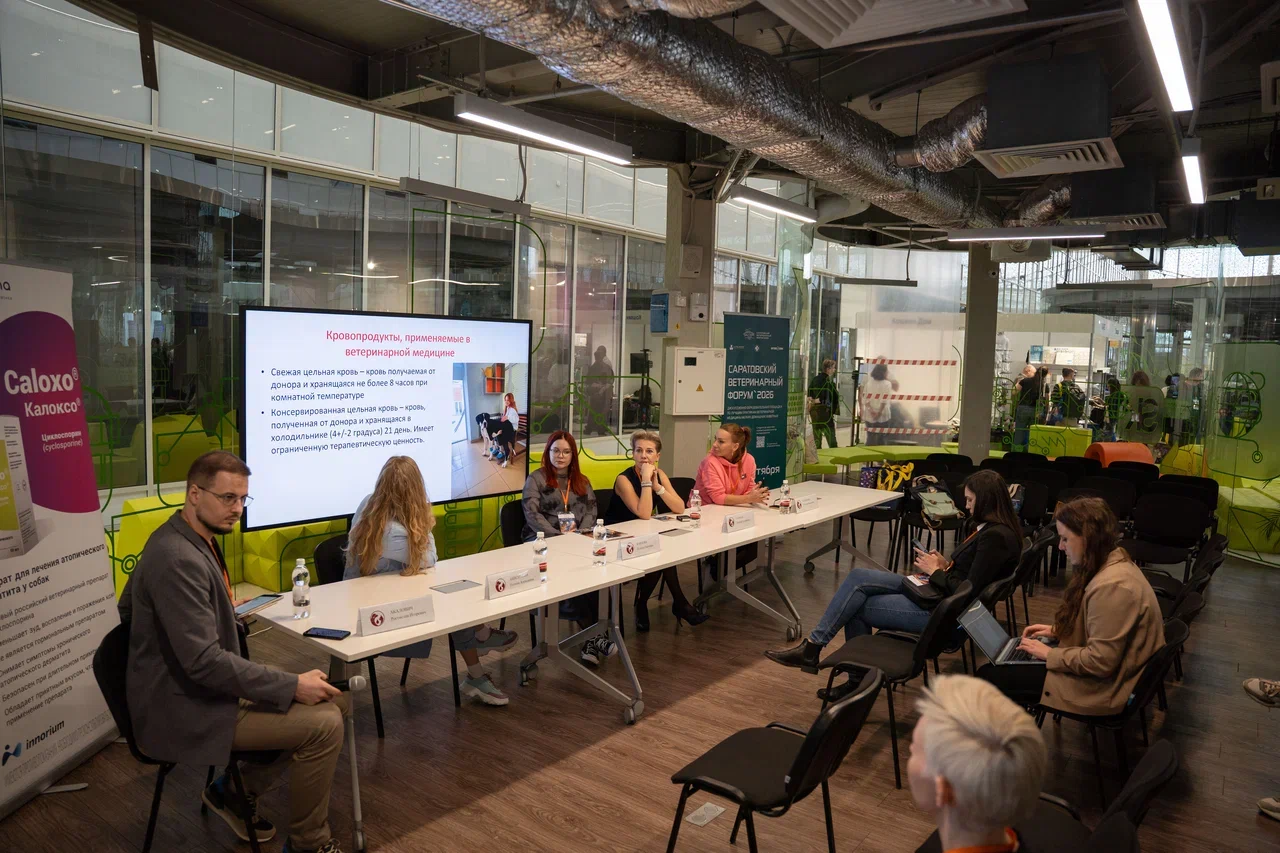 Платное донорство крови животных может привести к злоупотреблениям — эксперты