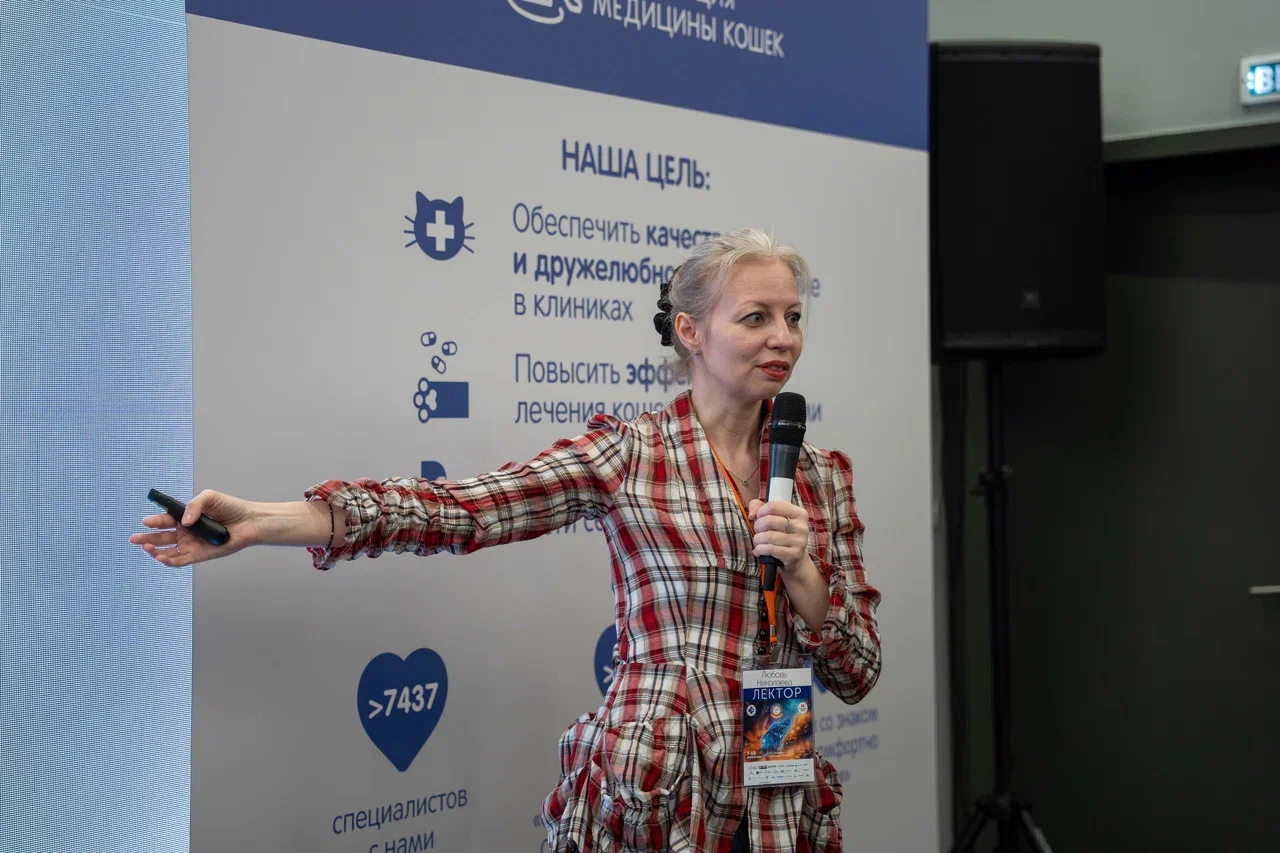 Почему домашняя кошка теряет шерсть, даже если совсем не чешется