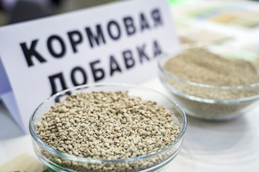 Россия полностью заместит импорт лизина к 2028 году