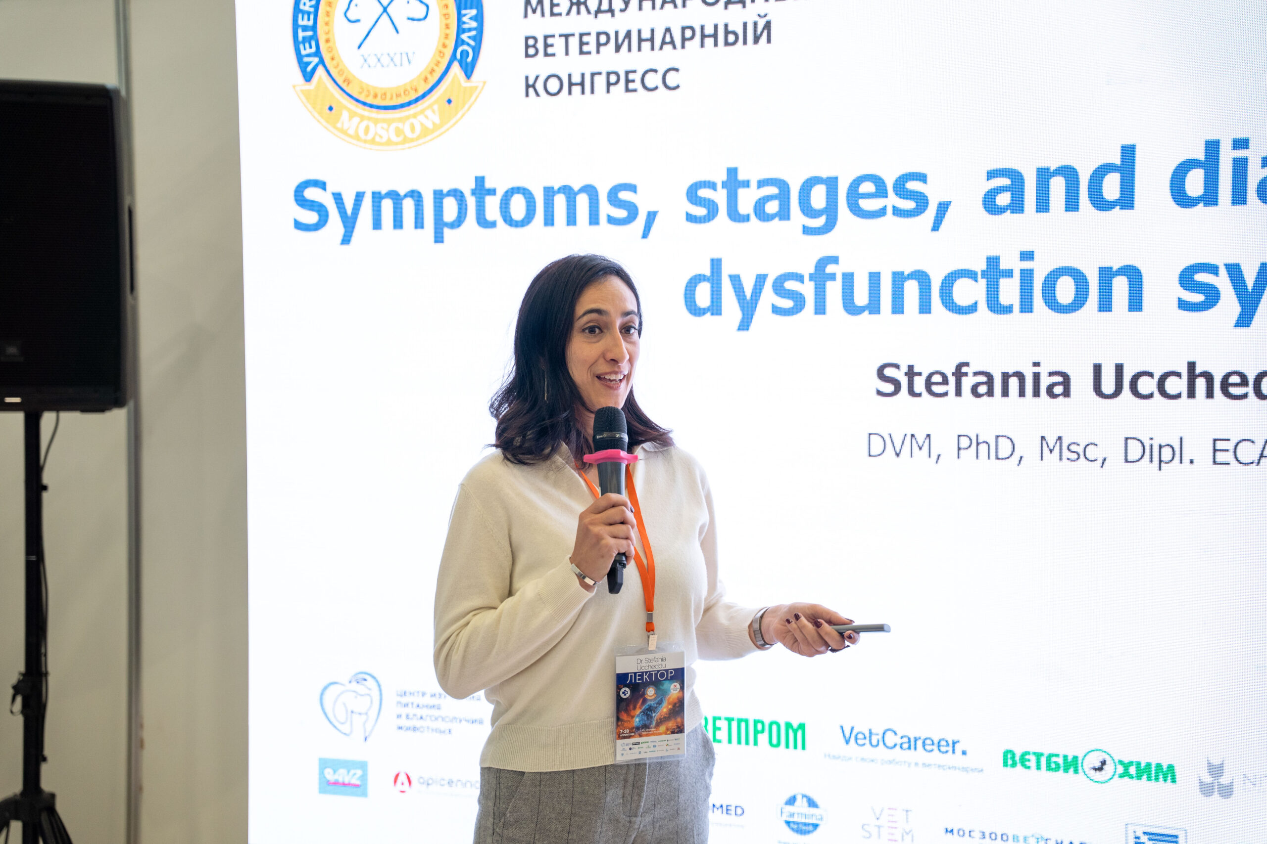 Вплоть до самоповреждения: чем опасен СДВГ у собак