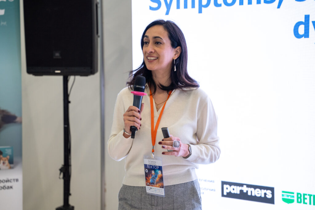 Кошки кричат, собаки пугаются шума: главные признаки деменции у животных