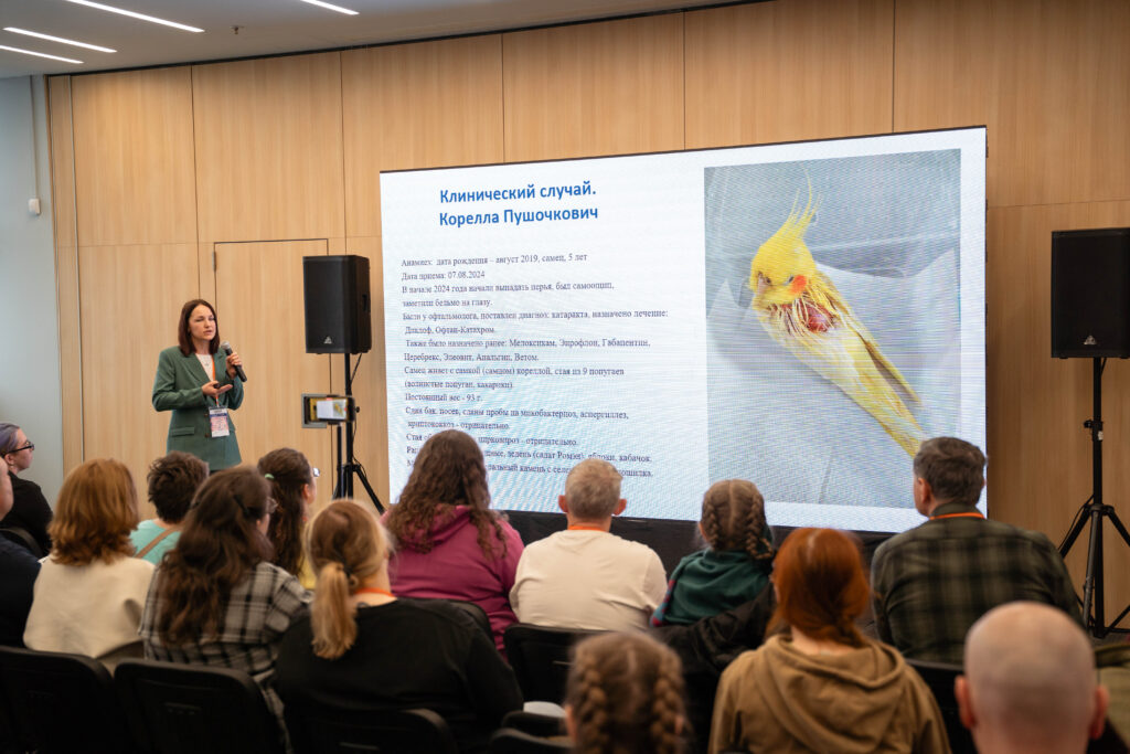 Ветеринары сообщили о необходимости сертификации вакцин для попугаев