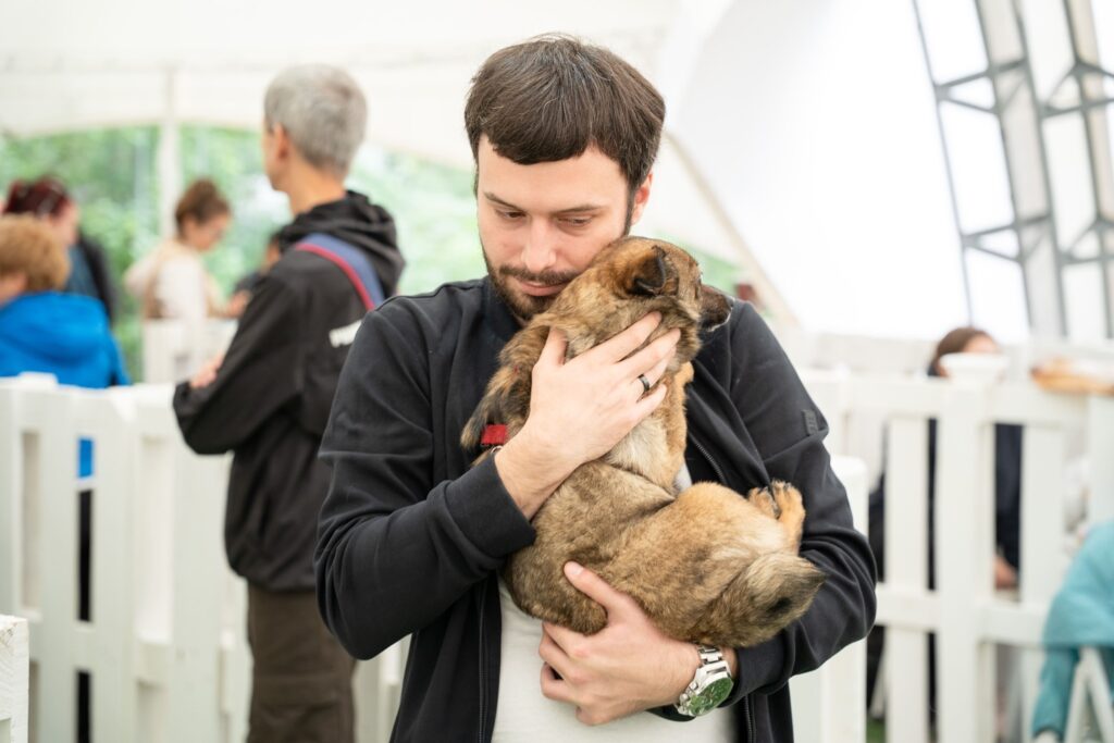 «Хочу собаку»: как понять, что вы готовы к питомцу
