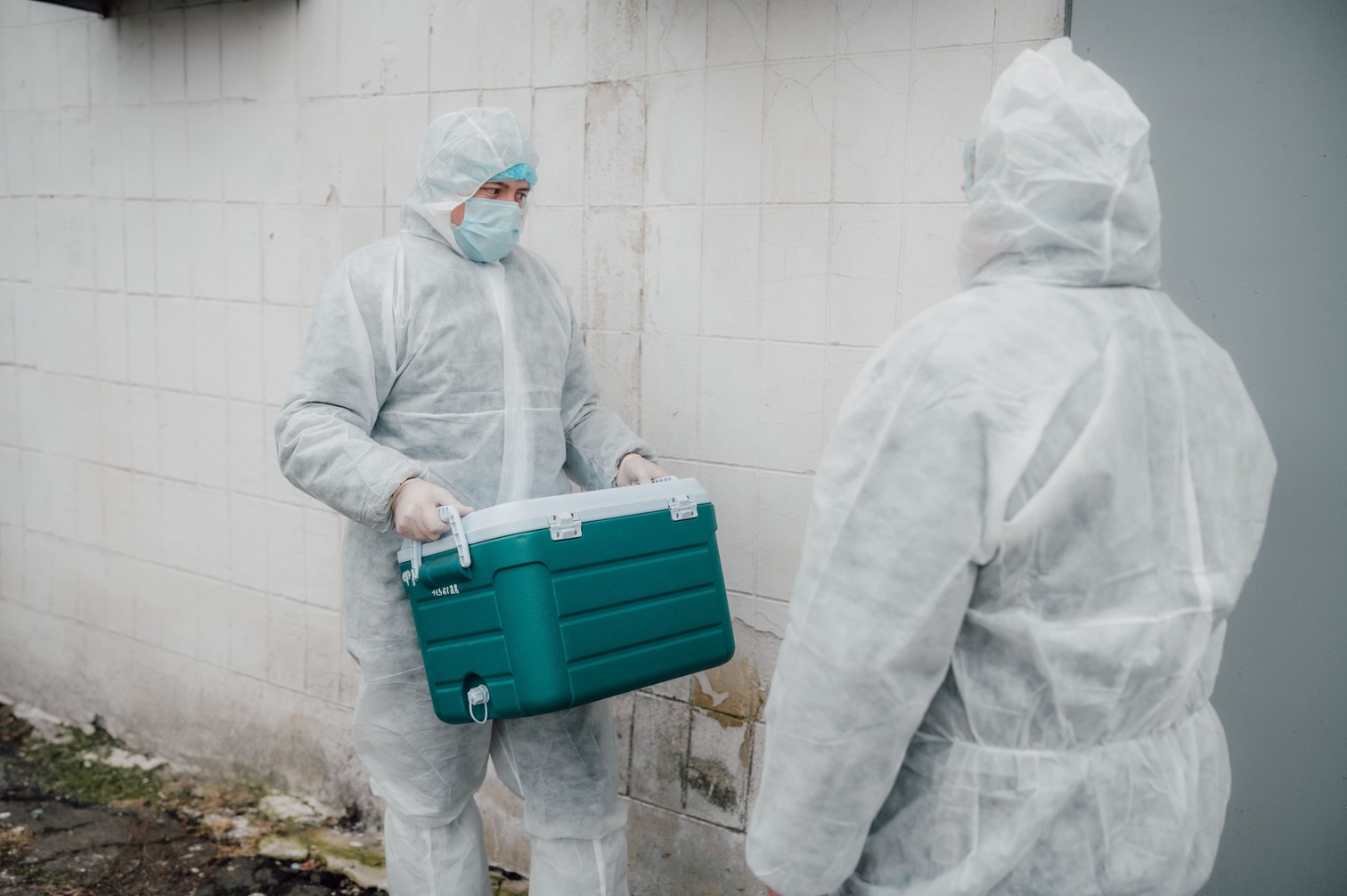 Суд обязал мурманскую ферму ликвидировать «склад» с трупами более ста коров