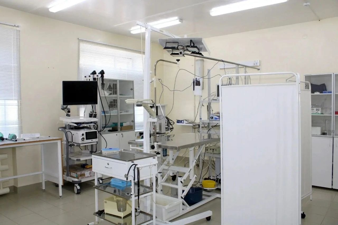 Десять ветеринарных операционных построят в Чувашии к 2030 году 