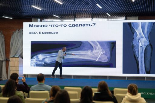 Стали известны главные темы Саратовского ветеринарного форума — 2026