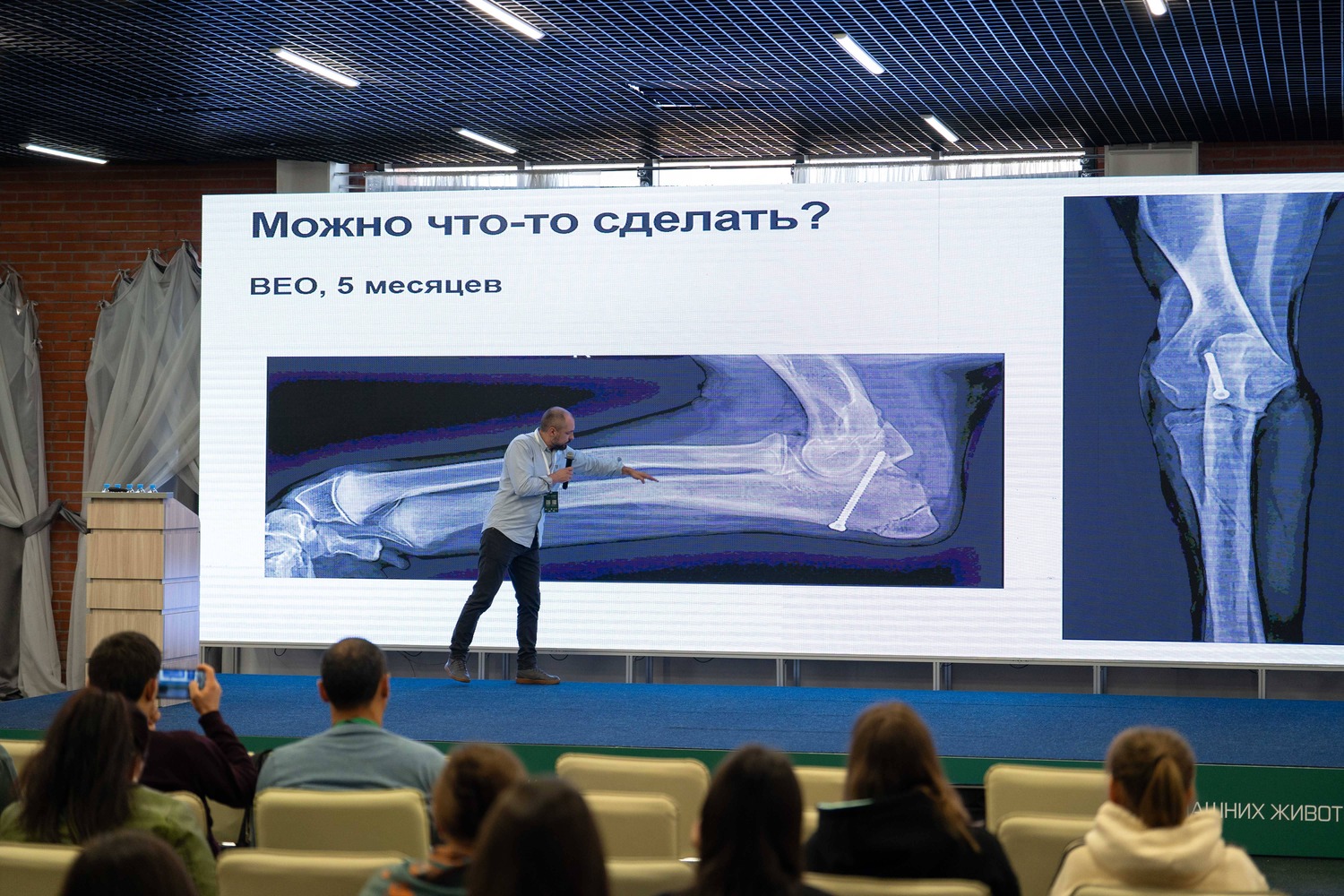 Стали известны главные темы Саратовского ветеринарного форума — 2026