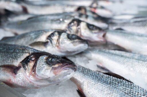 Камчатка в июне отправила на экспорт более 7 тыс. тонн рыбопродукции