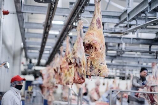 ЕС отказался от импорта мяса из Бразилии из-за антибиотиков