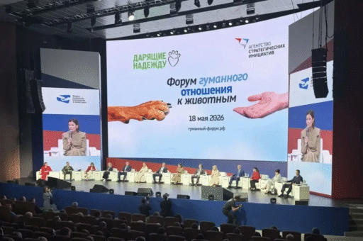 «Экосистема заботы»: координация усилий и цифровизация — на благо защиты животных