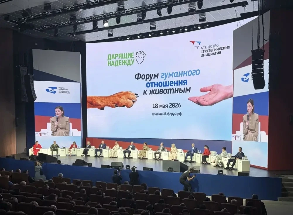 «Экосистема заботы»: координация усилий и цифровизация — на благо защиты животных