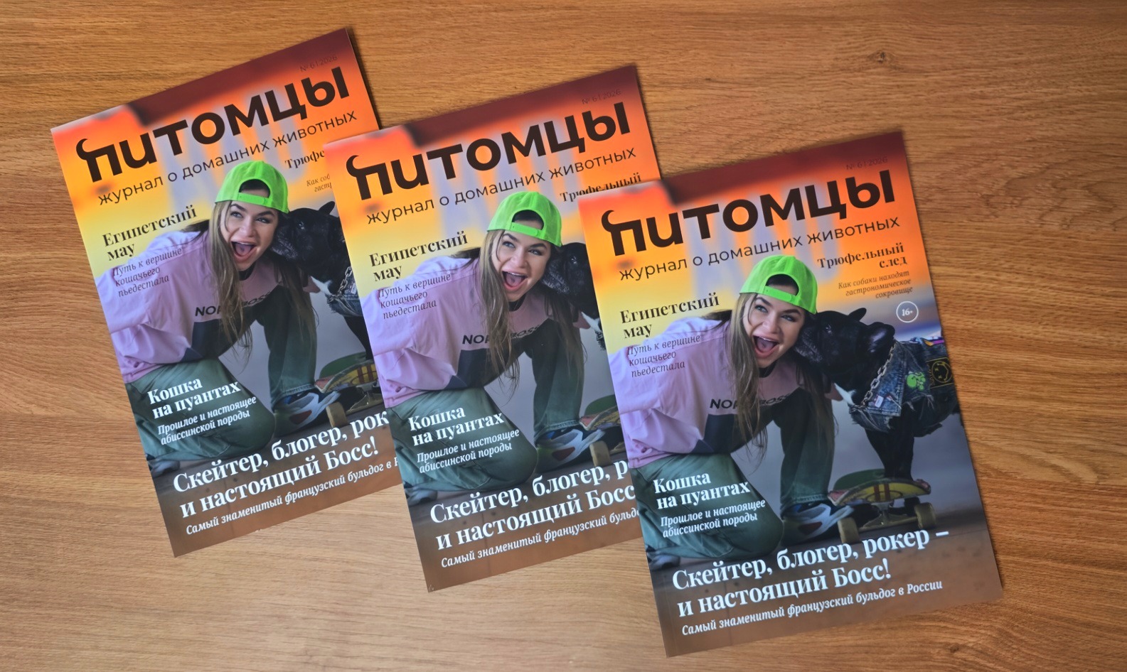 Скейтеры, покорители гор и балерины: встречайте героев свежего номера «Питомцев»
