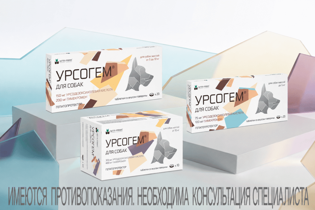 Печень под двойной защитой: почему гепатопротекторы без желчегонного компонента работают не в полную силу