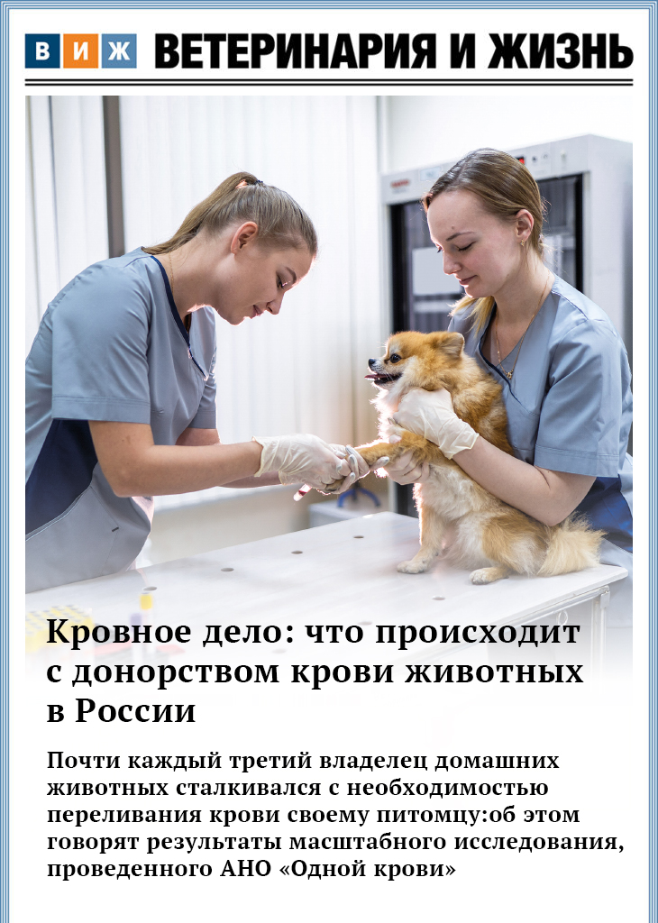 Номер 06 (109) июнь 2026