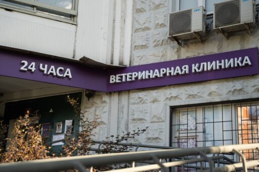 Суд оштрафовал ростовскую ветклинику за продажу ветпрепаратов без лицензии 