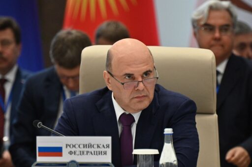 Мишустин призвал развивать производство ветпрепаратов в ЕАЭС