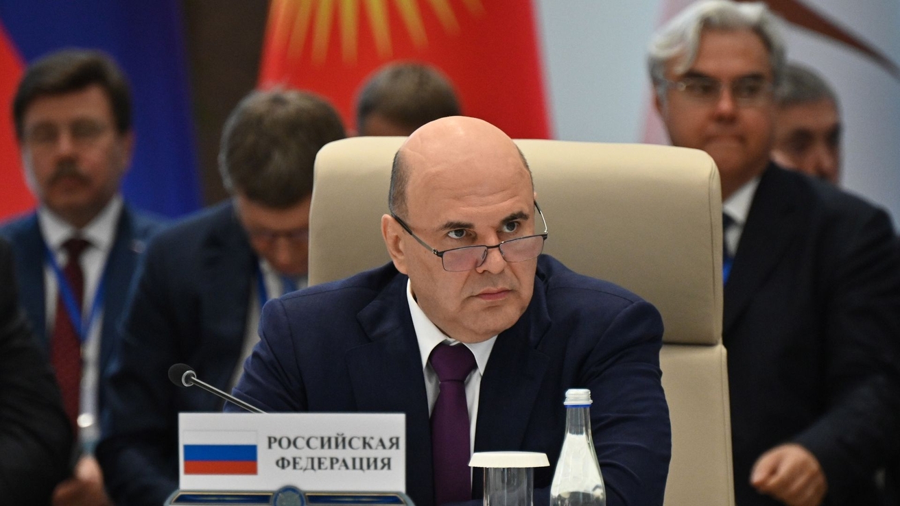 Мишустин призвал развивать производство ветпрепаратов в ЕАЭС