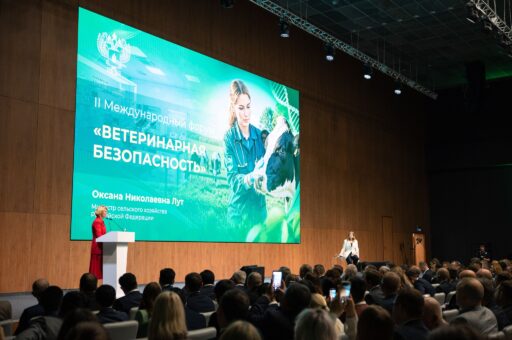 ИИ-системы раннего выявления заболеваний животных начали внедрять в РФ