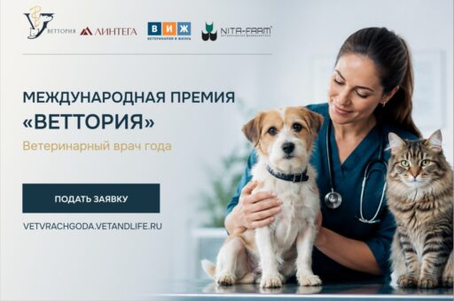 Премия «ВЕТТОРИЯ» для ветспециалистов: кто может участвовать и как подать заявку