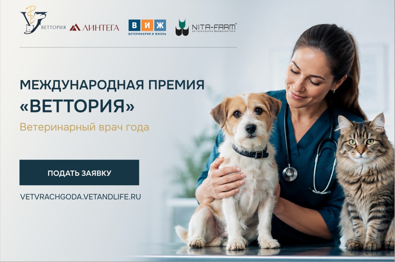 Премия «ВЕТТОРИЯ» для ветспециалистов: кто может участвовать и как подать заявку