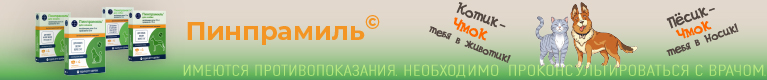 Чмок (моб)