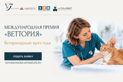 Оргкомитет премии «ВЕТТОРИЯ» предложил участникам упрощенный формат подачи заявки