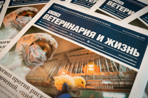От эмбриотрансфера до премии «ВЕТАСТРА»: вышел новый выпуск «Ветеринарии и жизни»  