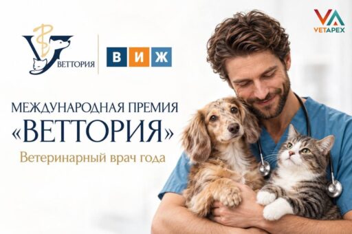 У Международной премии «ВЕТТОРИЯ» появился новый информационный партнер