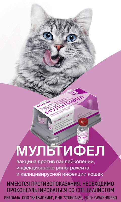 ВЕТБИОХИМ (десктоп)