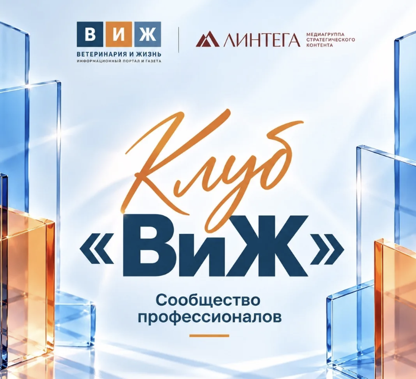 Клуб «ВиЖ» открывает профессиональный чат для ветеринарной отрасли