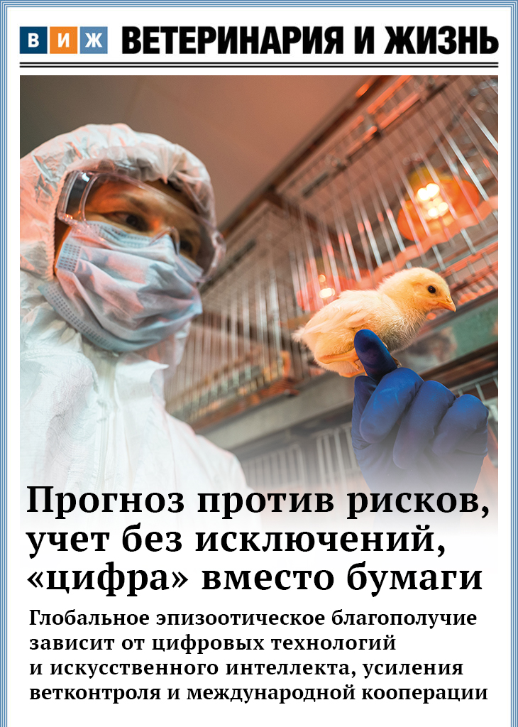 Номер 10 (113) октябрь 2026