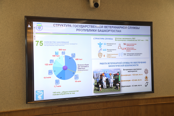 Ветслужба Башкирии может сократить до 15% сотрудников